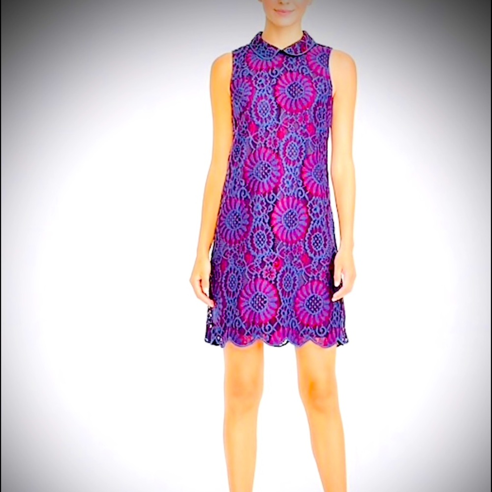 J. Crew. Maureen +Navy Lace Dress w/ Ruffle Hem + Collar
